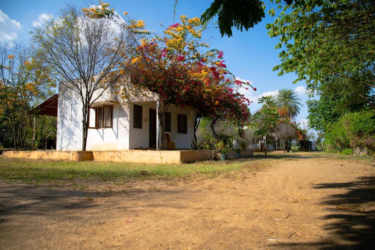 Hotel The Mountain Retreat Tiruvannāmalai Esterno foto