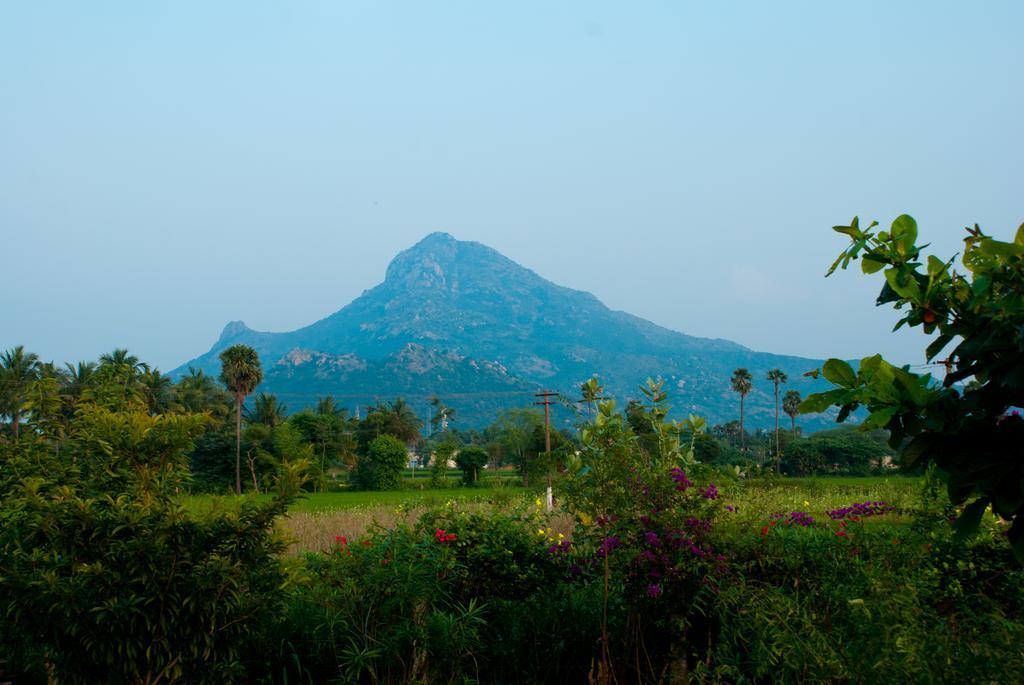 Hotel The Mountain Retreat Tiruvannāmalai Esterno foto