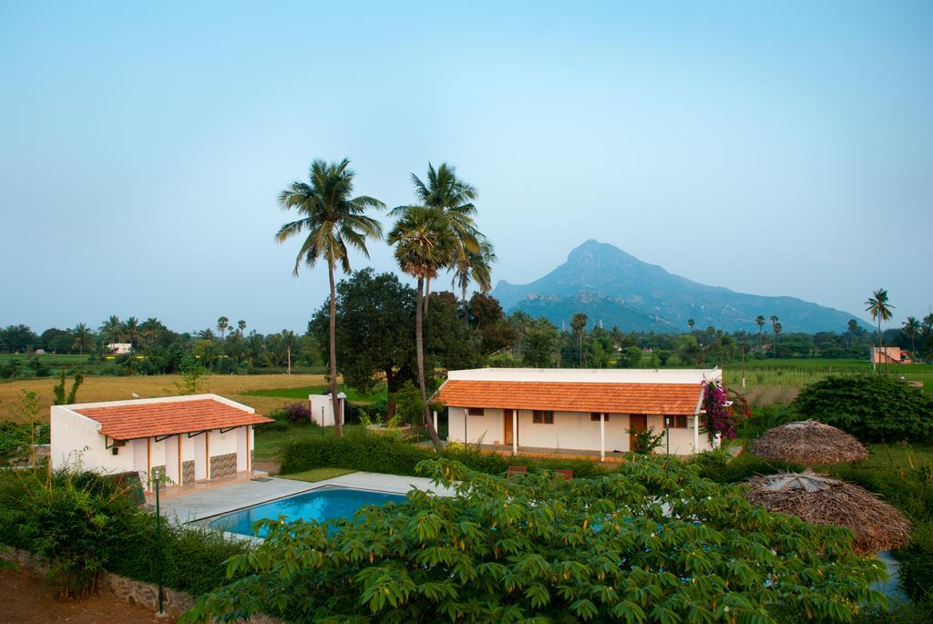 Hotel The Mountain Retreat Tiruvannāmalai Esterno foto