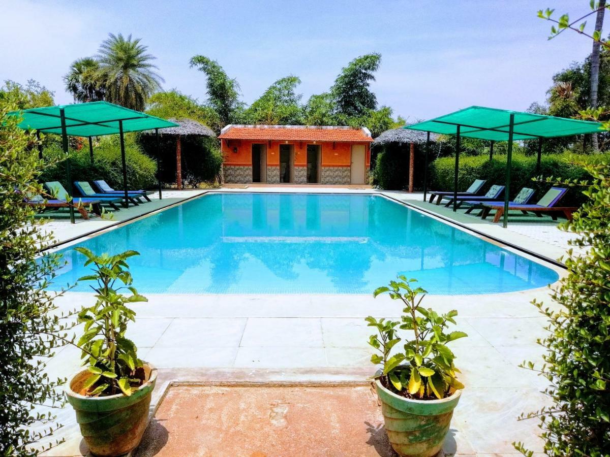 Hotel The Mountain Retreat Tiruvannāmalai Esterno foto